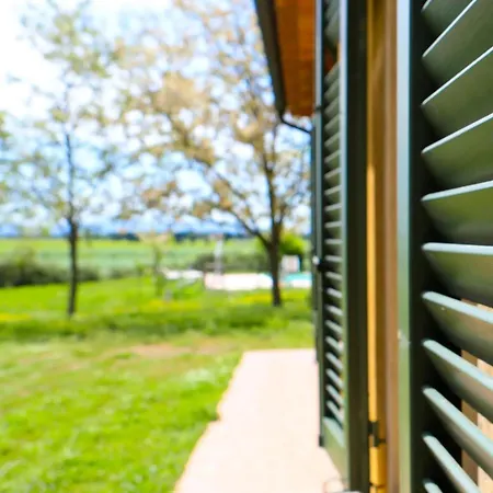 Il Gelso Di Francesco - N3