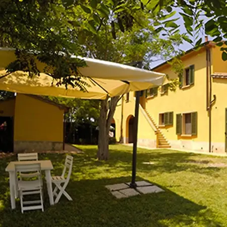 Il Gelso Di Francesco - N3 *